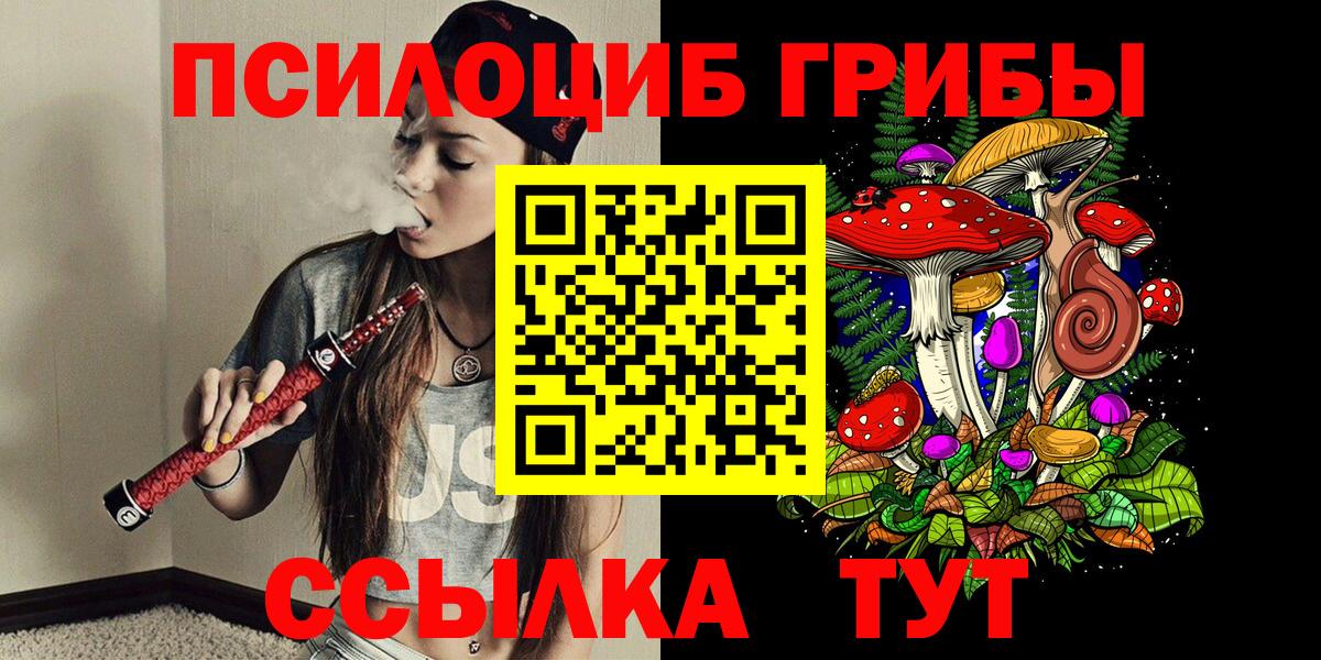 Тамбов  Псилоцибиновые грибы Psilocybe  Вход с VPN 