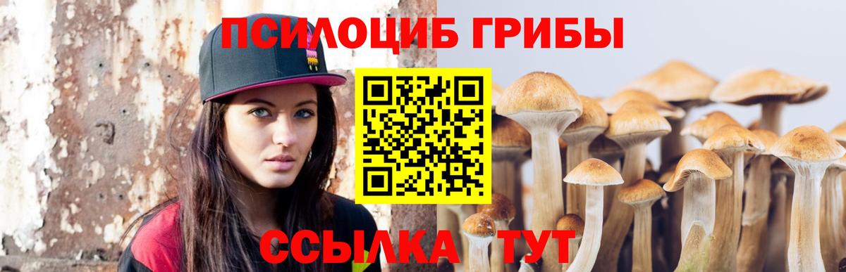 Псилоцибиновые грибы ЛСД Тамбов